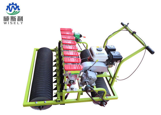 China Benzinmotor 8 reiht grünen Salat-Pflanzer-Maschinen, die in der Landwirtschaft benutzt werden fournisseur