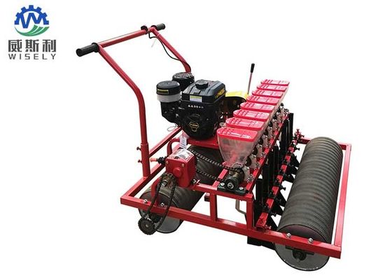 China 8-15 cm-Reihen-Abstand-Tomaten-Pflanzer-Maschinen-/rote Tomaten-pflanzende Ausrüstung fournisseur