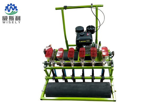 China 6 Reihen-pflanzende Ausrüstungs-Zwiebel-Gemüselandwirtschaft, die ISO-Bescheinigung pflanzt fournisseur