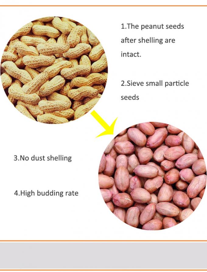 Hohe Samen-Erdnuss, die Maschine für Hauptkohlenstoffstahl-Körper-Material schält