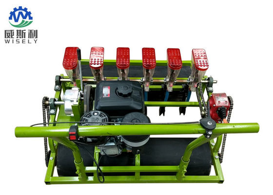 China Hohe Leistungsfähigkeits-Kopfsalat-Kartoffellegemaschine/Bauernhof-pflanzende Ausrüstung 6 rudert fournisseur